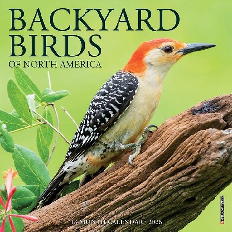Backyard Birds 2026 7 X 7 Mini Wall Calendar