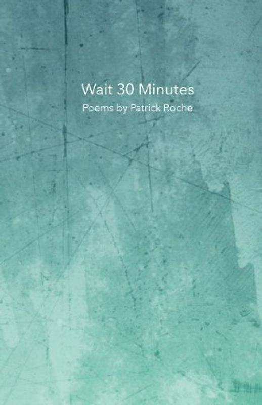 Wait 30 Minutes: Poems by Patrick Roche