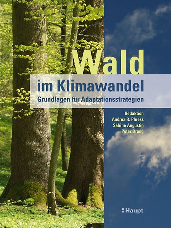 Wald im Klimawandel