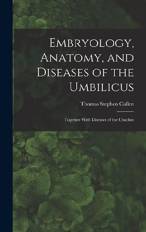 Embryology, Anatomy, and Diseases of the Umbilicus