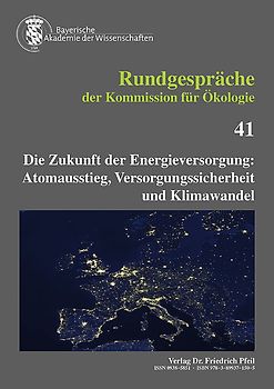 Die Zukunft der Energieversorgung: