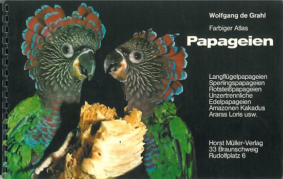 Farbiger Atlas Papageien