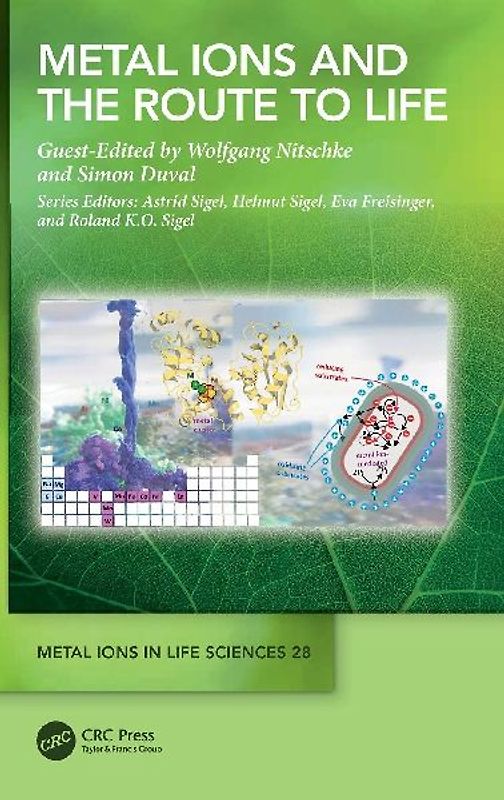 Metal Ions and the Route to Life
