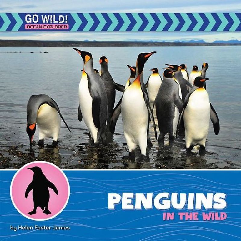 Penguins in the Wild