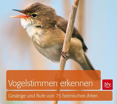 Vogelstimmen erkennen / CD