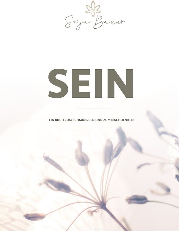 SEIN