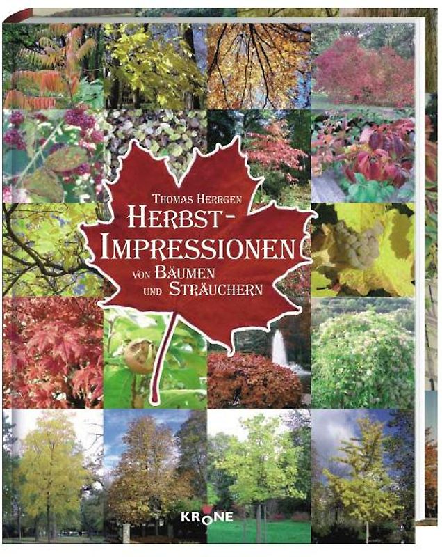 Herbst-Impressionen von Bäumen und Sträuchern