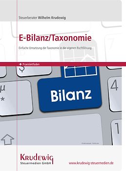Praxisleitfaden E-Bilanz / Taxonomie