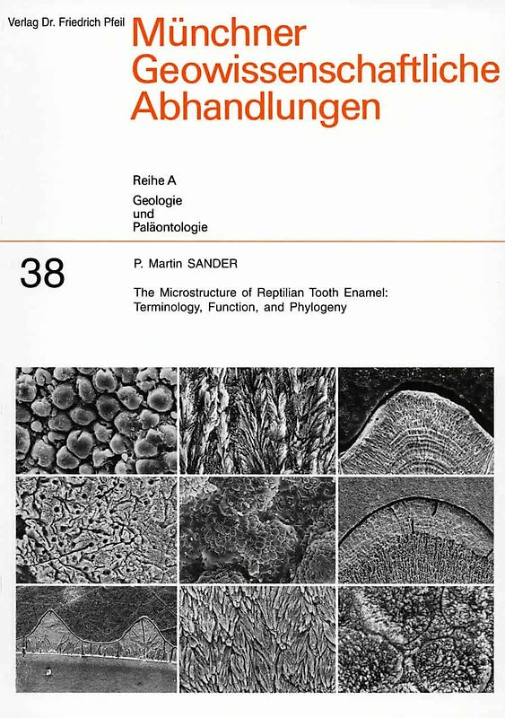 The Microstructure of Reptilian Tooth Enamel: Terminology, Function, and Phylogeny