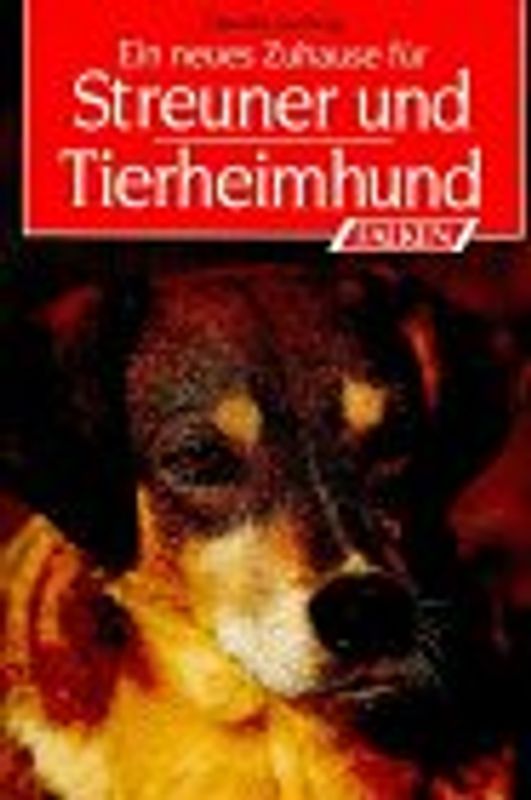 Ein neues Zuhause für Streuner und Tierheimhunde
