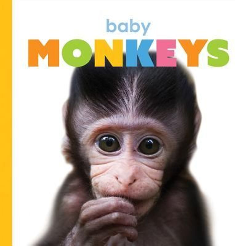 Baby Monkeys