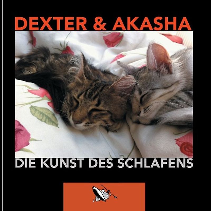 Die Kunst des Schlafens