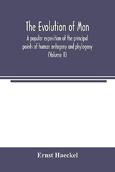 The evolution of man