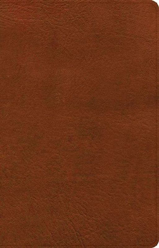 NASB Large Print Personal Size Reference Bible, Burnt Sienna Leathertouch, Indexed