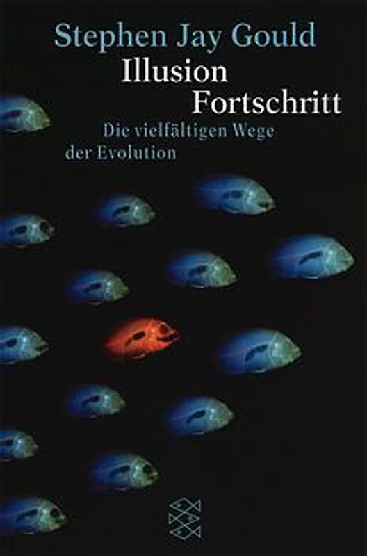 Illusion Fortschritt