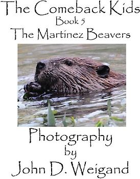 The Comeback Kids, Book 5, The Martinez Beavers
