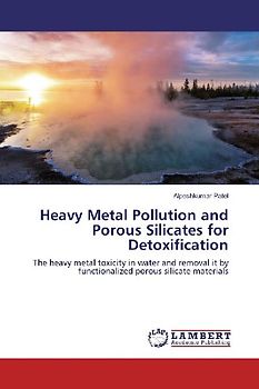 Heavy Metal Pollution and Porous Silicates for Detoxification