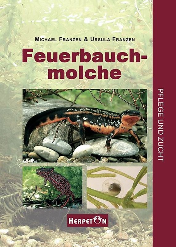 Feuerbauchmolche