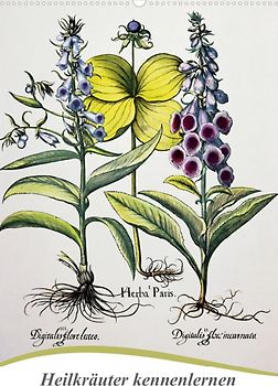 Heilkräuter kennenlernen (Posterbuch DIN A2 hoch)