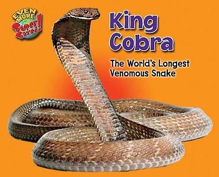 King Cobra