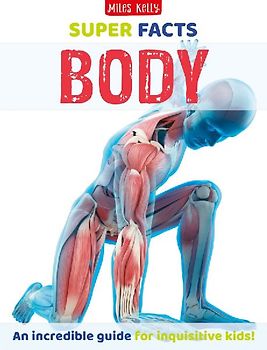 Super Facts Body