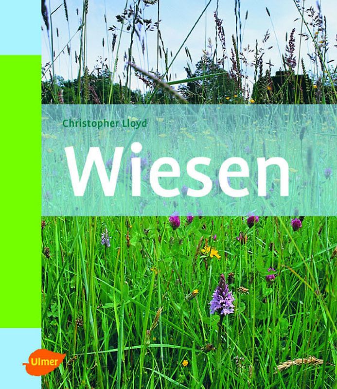Wiesen