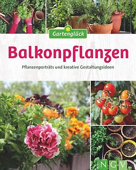 Balkonpflanzen