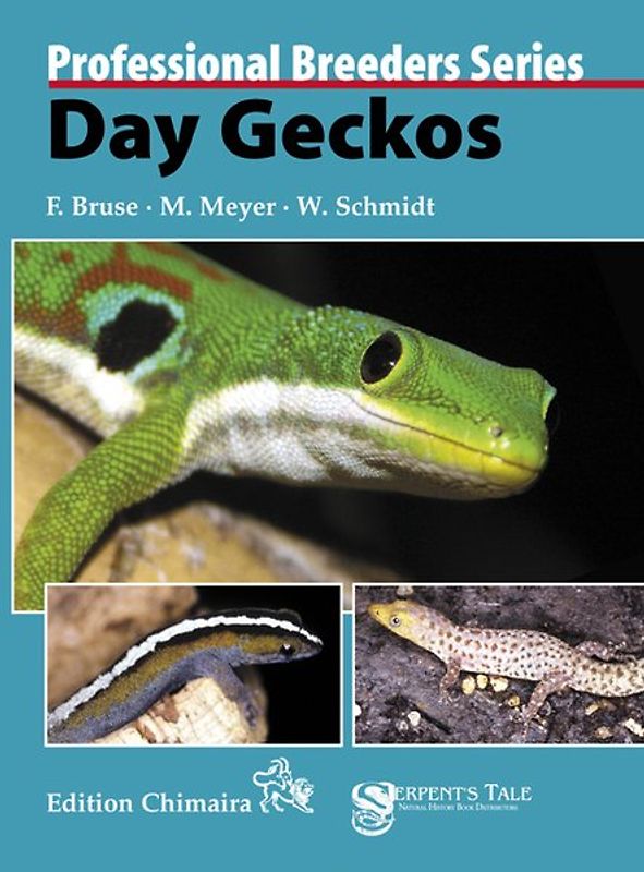 Day Geckos