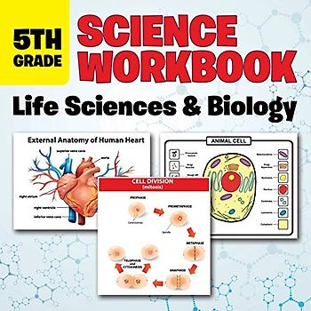 5th Grade Science Workbook