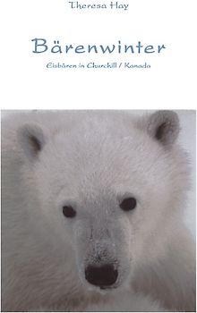 Bärenwinter