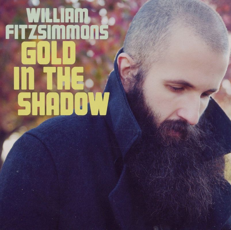 William Fitzsimmons - Gold in the Shadow