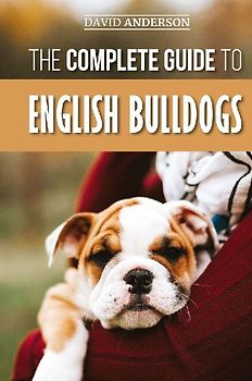 The Complete Guide to English Bulldogs