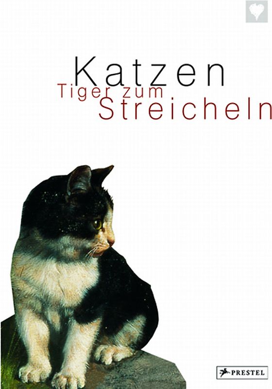 Katzen