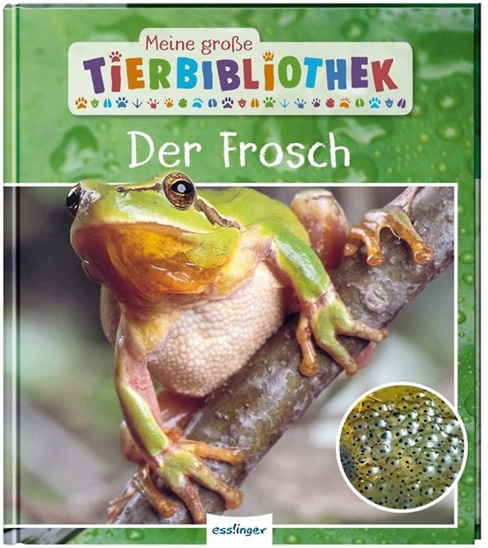 Meine große Tierbibliothek: Der Frosch