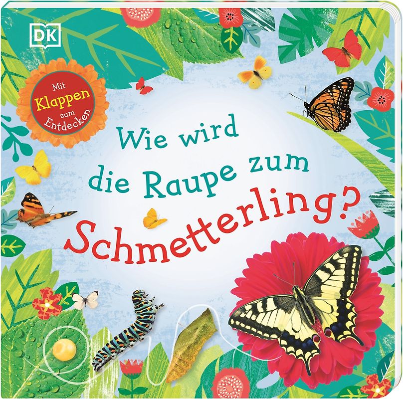 Wie wird die Raupe zum Schmetterling?
