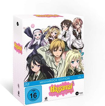 Haganai Vol. 1 [Mediabook Edition, inkl. Sammelschuber] Blu-ray Disc