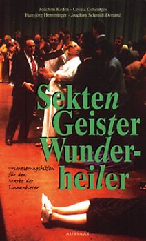 Sekten, Geister, Wunderheiler. Orientierungshilfen für den Markt der Sinnanbieter