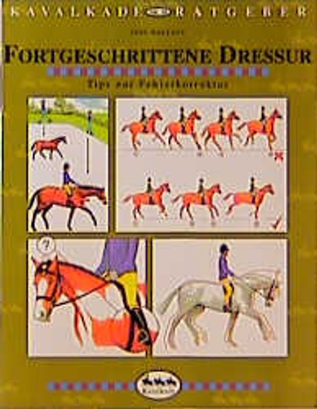 Fortgeschrittene Dressur. Tips zur Fehlerkorrektur