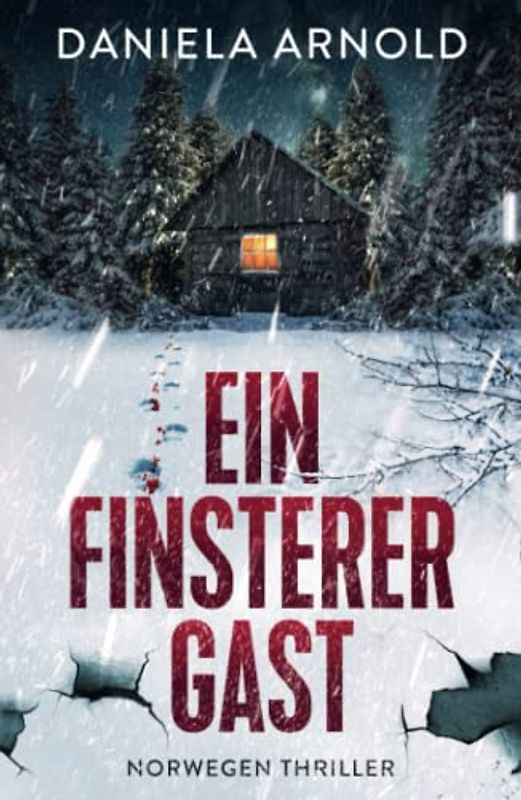 Ein finsterer Gast: Norwegen-Thriller