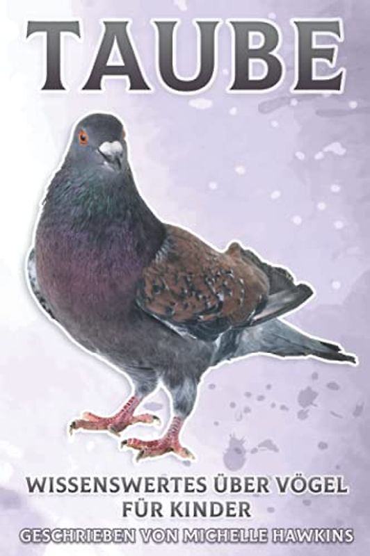 Taube: Wissenswertes über Vögel für Kinder #25