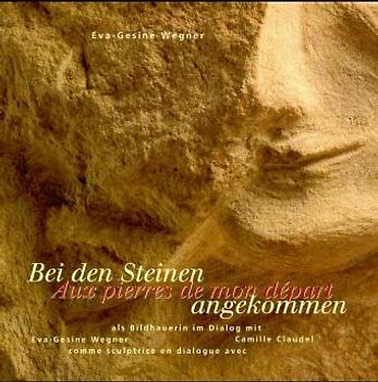 Bei den Steinen angekommen /Aux pierres de mon départ