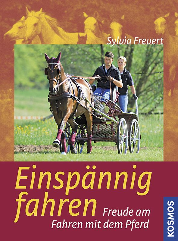 Einspännig Fahren
