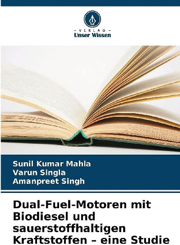 Dual-Fuel-Motoren mit Biodiesel und sauerstoffhaltigen Kraftstoffen - eine Studie