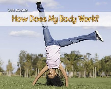 How Does Your Body Work?