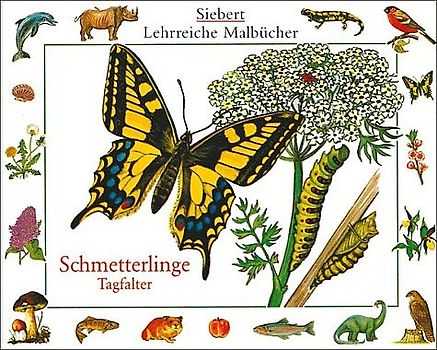 Schmetterlinge - Tagfalter. Malbuch. Verpackungseinheit