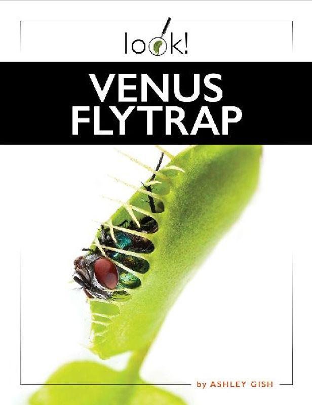 Venus Flytrap