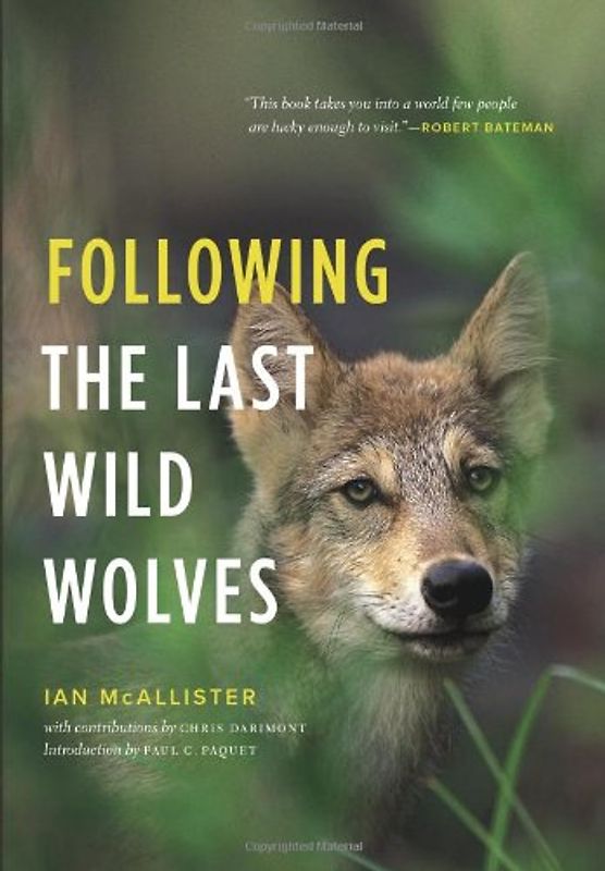 Following the Last Wild Wolves - Ian McAllister