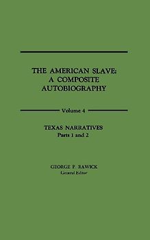 The American Slave
