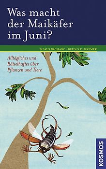Was macht der Maikäfer im Juni?