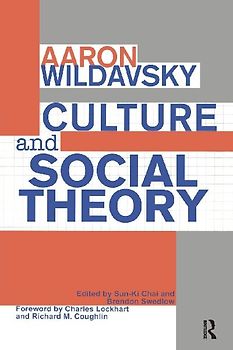 Culture and Social Theory